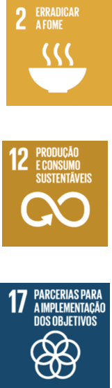 imagem indicadores ods