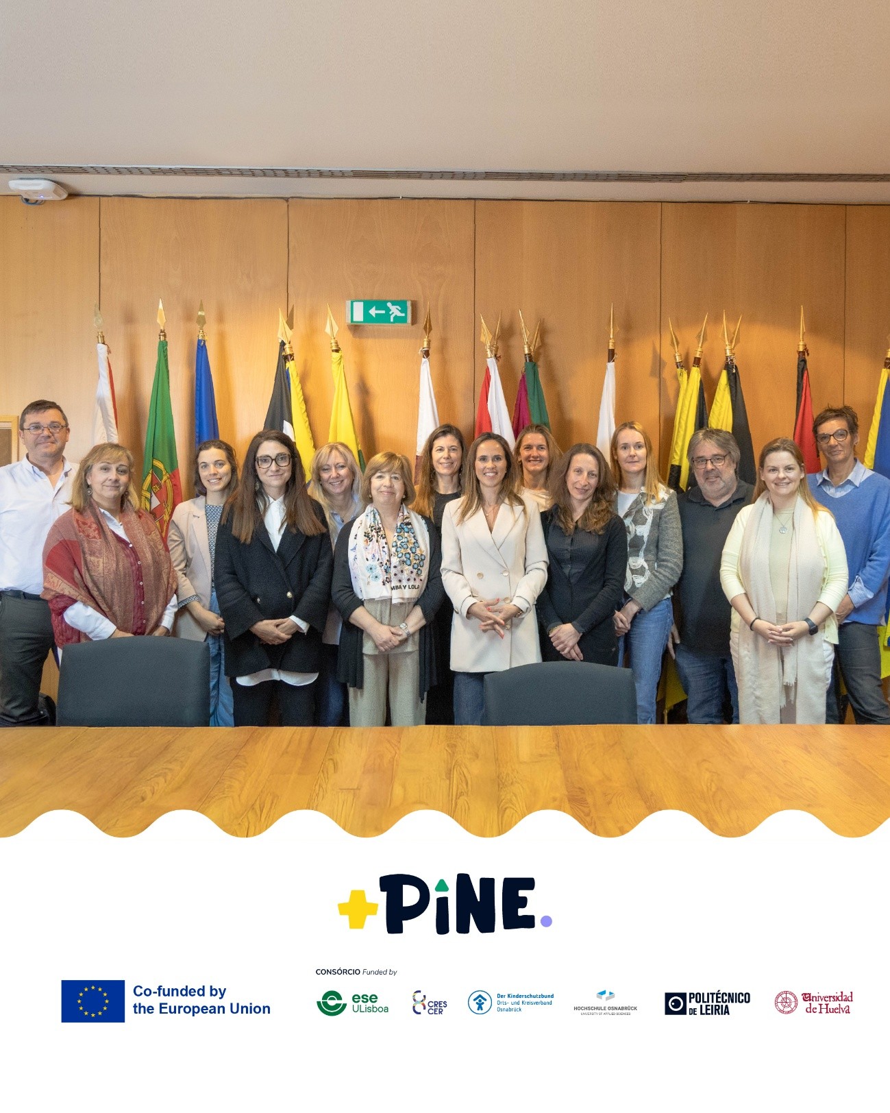 elementos do projeto +PiNE